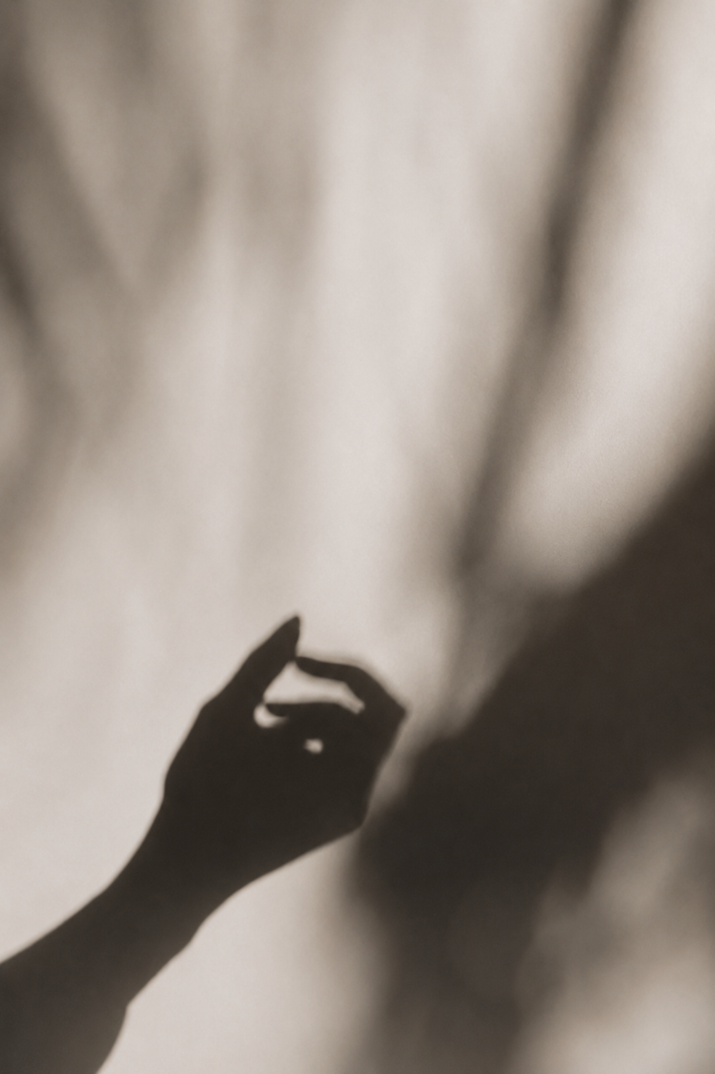 NO.925 // SET